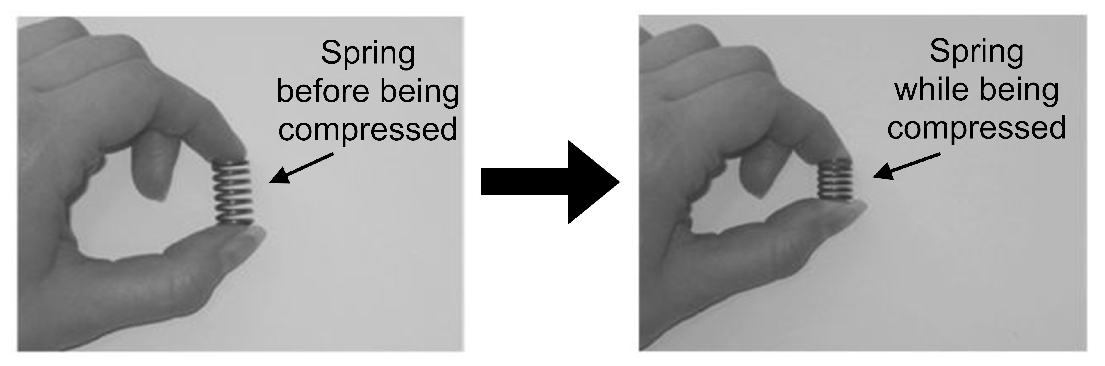 Science Assessment Items EG035005